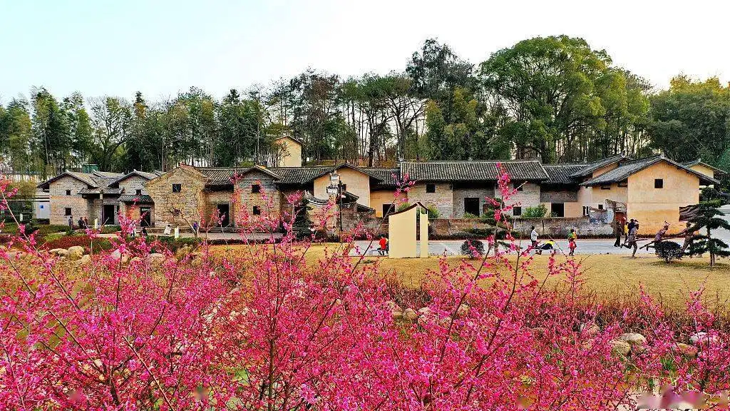 會昌縣風(fēng)景獨好園打造沉浸式體驗和傳承紅色文化